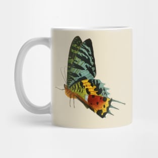 Colorful Butterfly Side view Mug